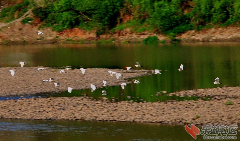 dsc_2298_副本.jpg