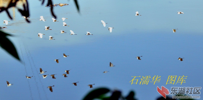 dsc_2281_副本.jpg