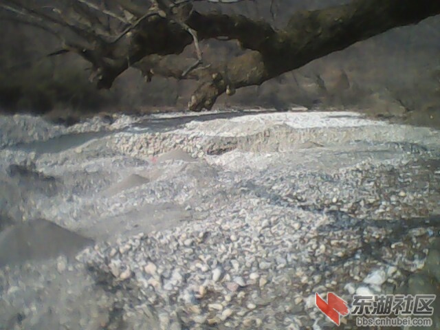 IMG0019A.jpg
