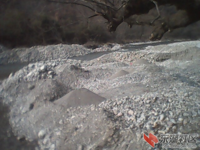 IMG0018B.jpg