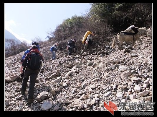 毛驴领队登山.jpg