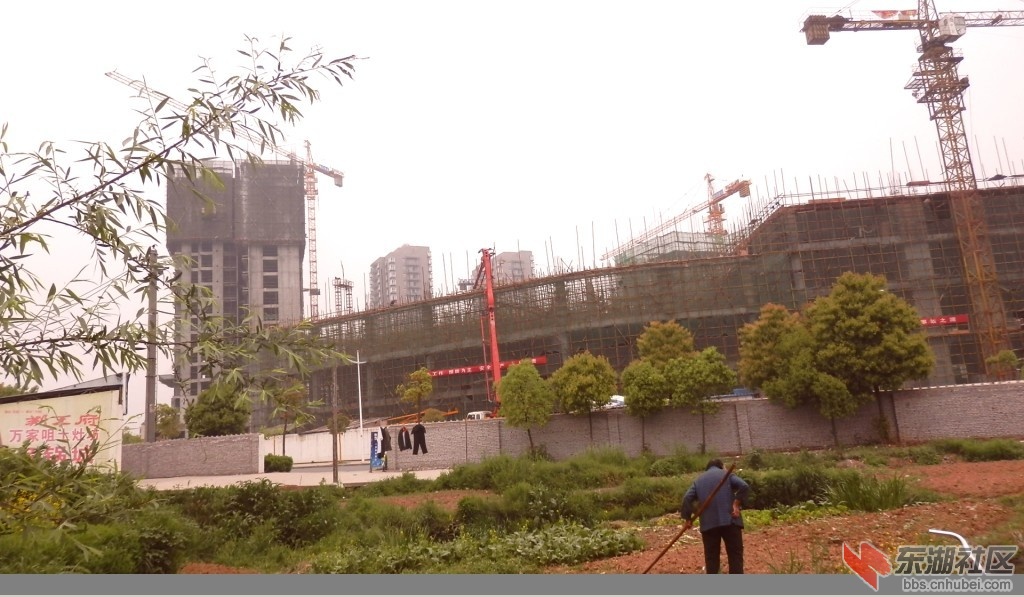 未命名.jpg