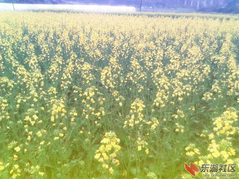 YP20120403173836_副本.jpg
