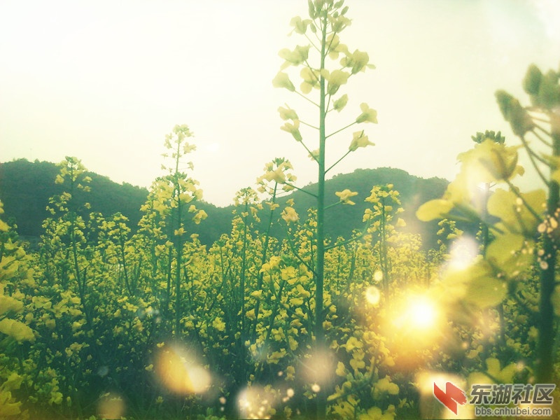 YP20120403174741_副本.jpg