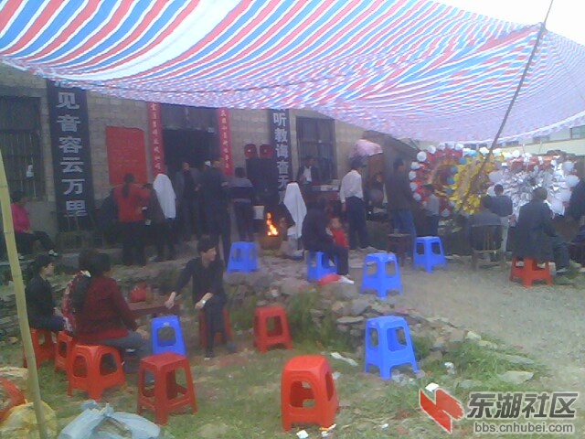 IMG5630A.jpg