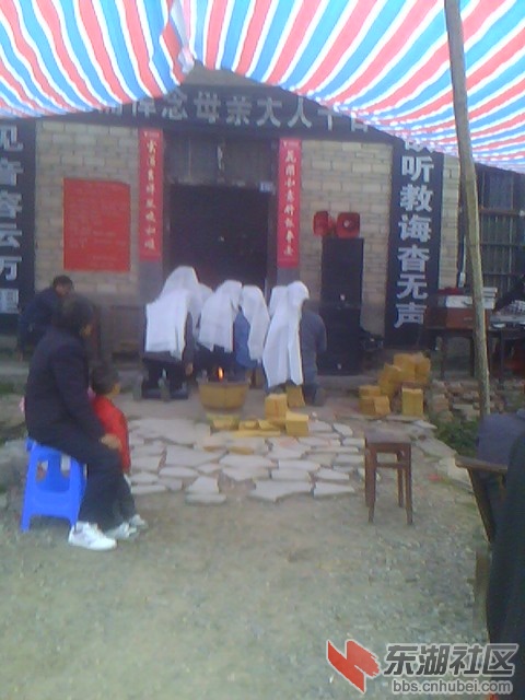IMG5631A.jpg