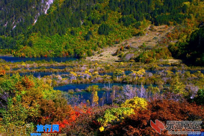 九秋（17）.jpg