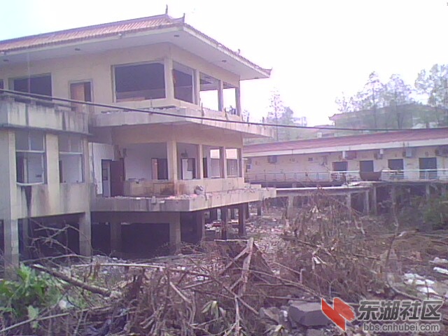 IMG0015A.jpg