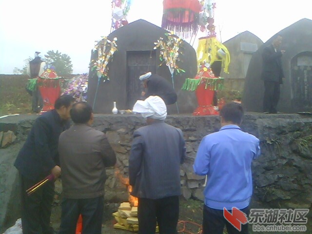 IMG5636A.jpg