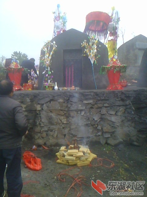 IMG5637A.jpg