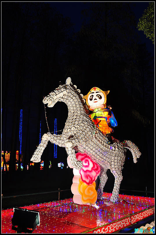 DSC_4028 (11).jpg