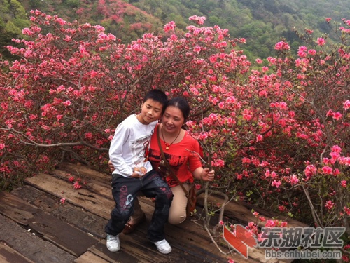 妈妈带我看杜鹃.jpg