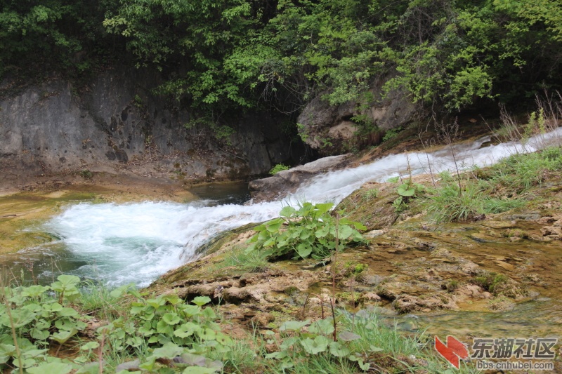 IMG_64991.JPG