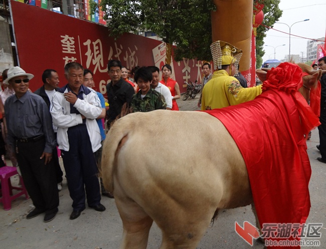 旁人羡慕神牛300K.jpg