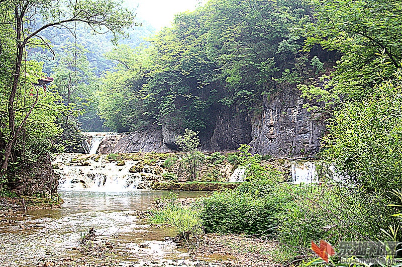 img_6546_副本.jpg