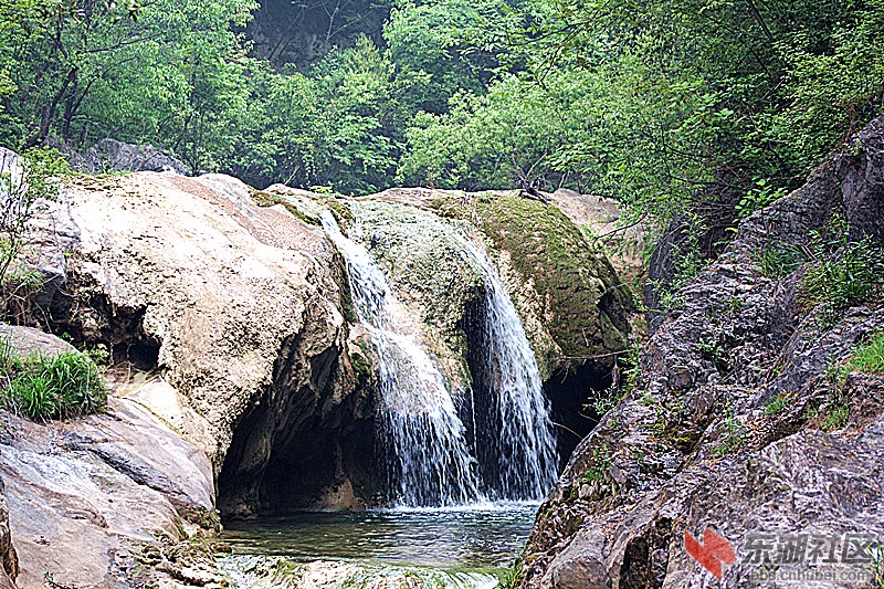 img_6603_副本.jpg