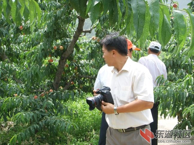 全国人大及市发改委到挂甲峪参观视察36.JPG