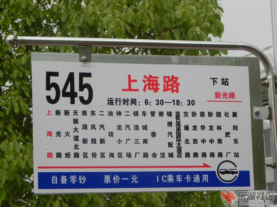 545.jpg