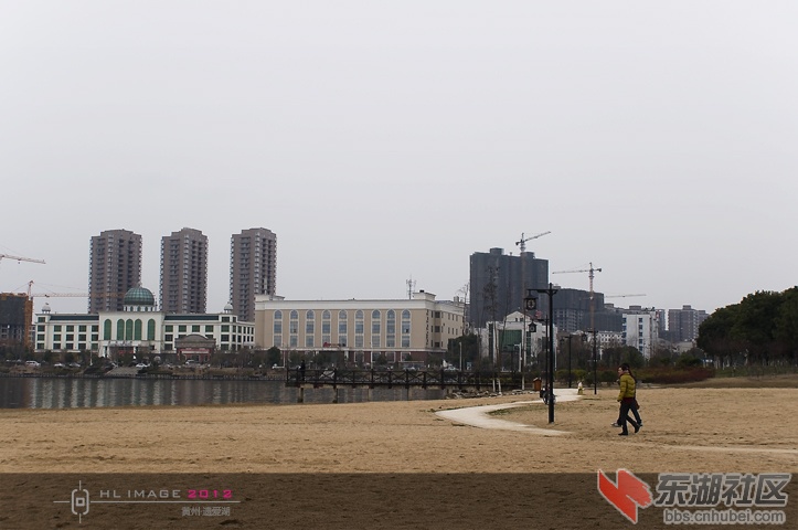 DSC_0709.jpg