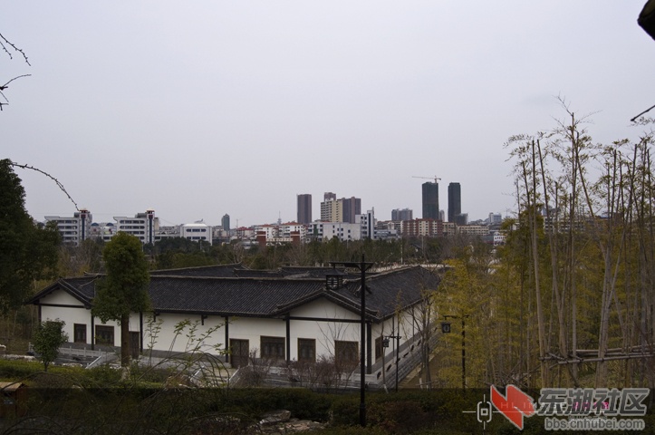 DSC_0712.jpg