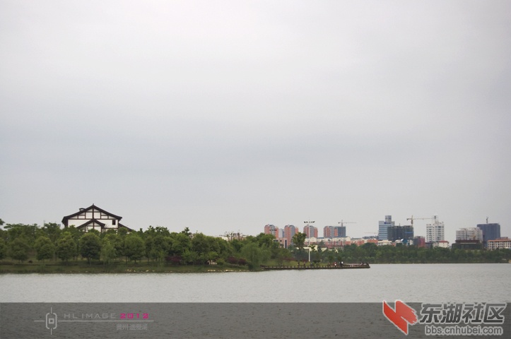DSC_0780.jpg