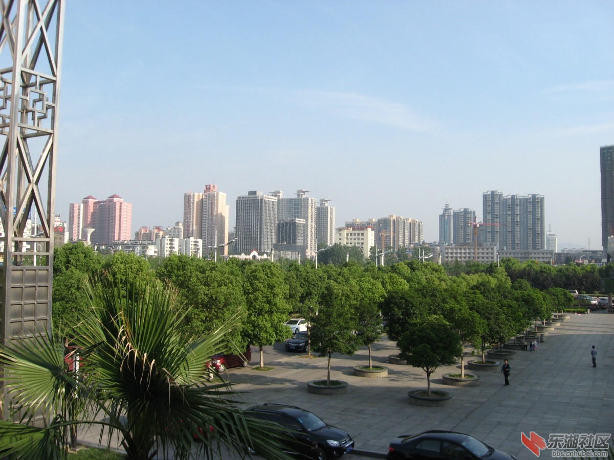 IMG_0335.JPG