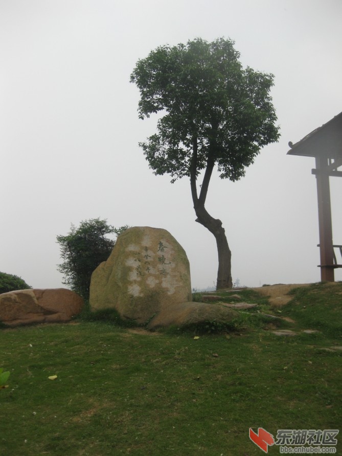 66.jpg