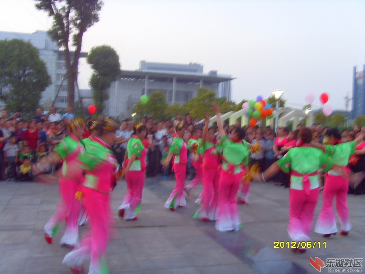 SDC10017.jpg