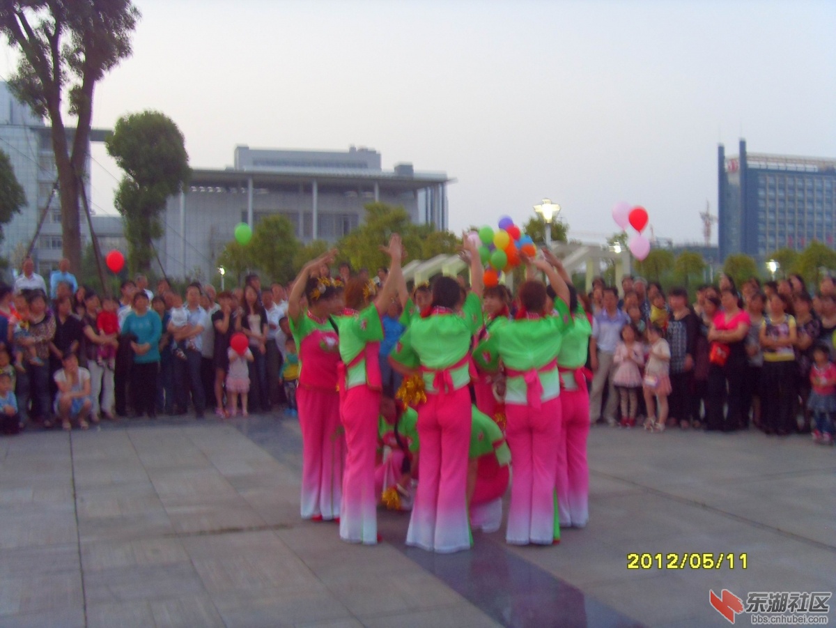 SDC10018.jpg