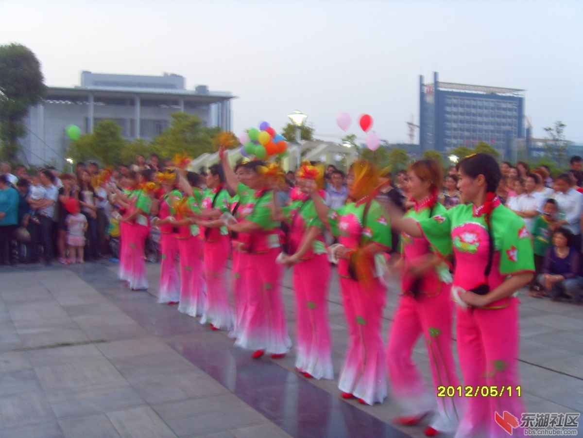 SDC10019.jpg