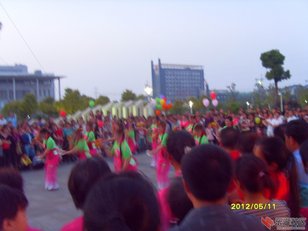 SDC10024.jpg