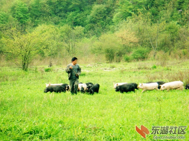 DSC06371_副本.jpg