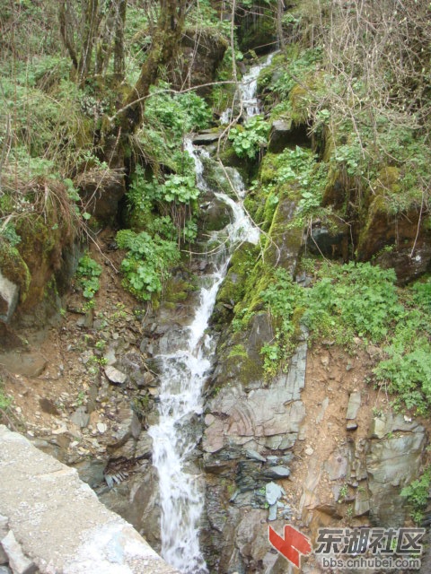 DSC06393.JPG