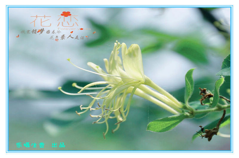 照片6 089_副本.jpg