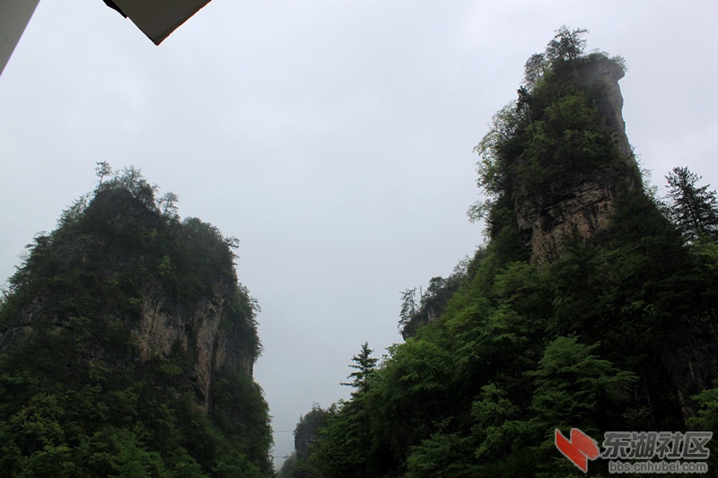 驼峰.jpg