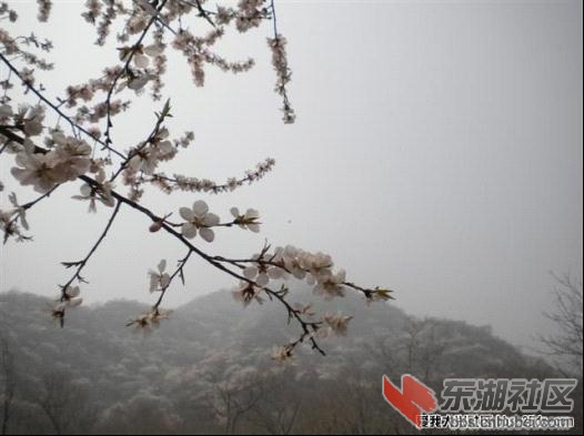 016周口店九龙山16.jpg
