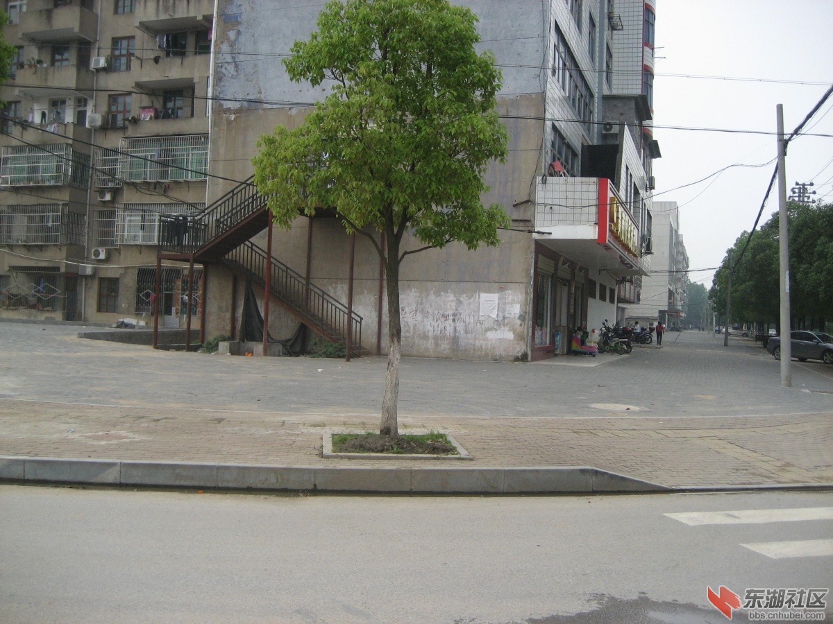 中环路的连络线