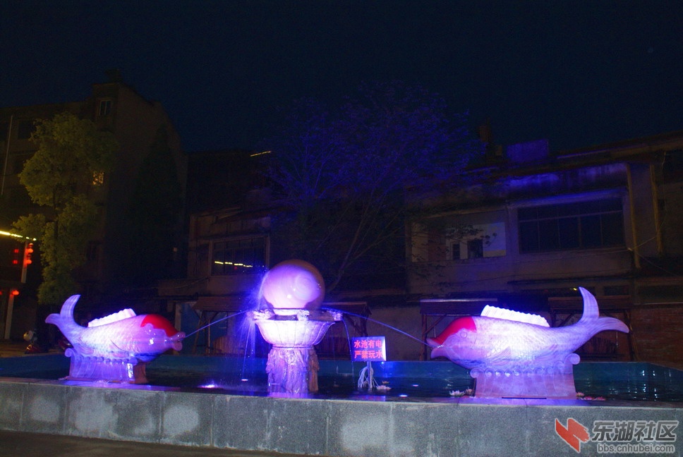 DSC08513_调整大小.JPG