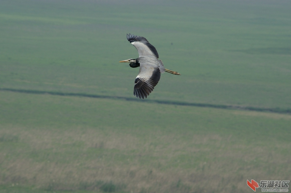 DSC_1120.JPG