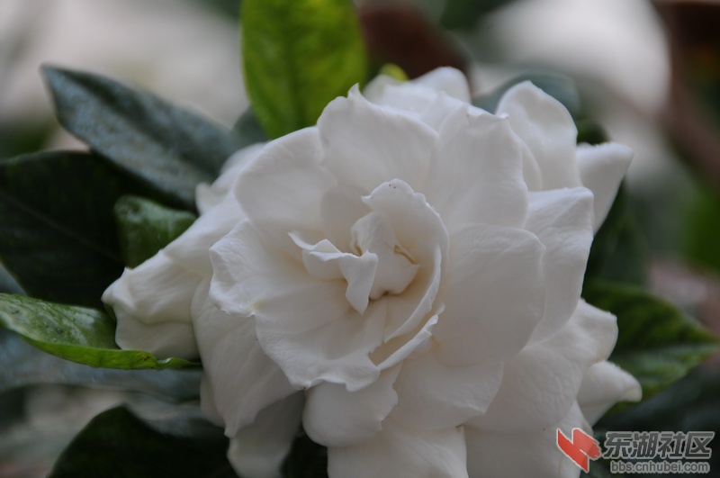 DSC_0427_调整大小.JPG