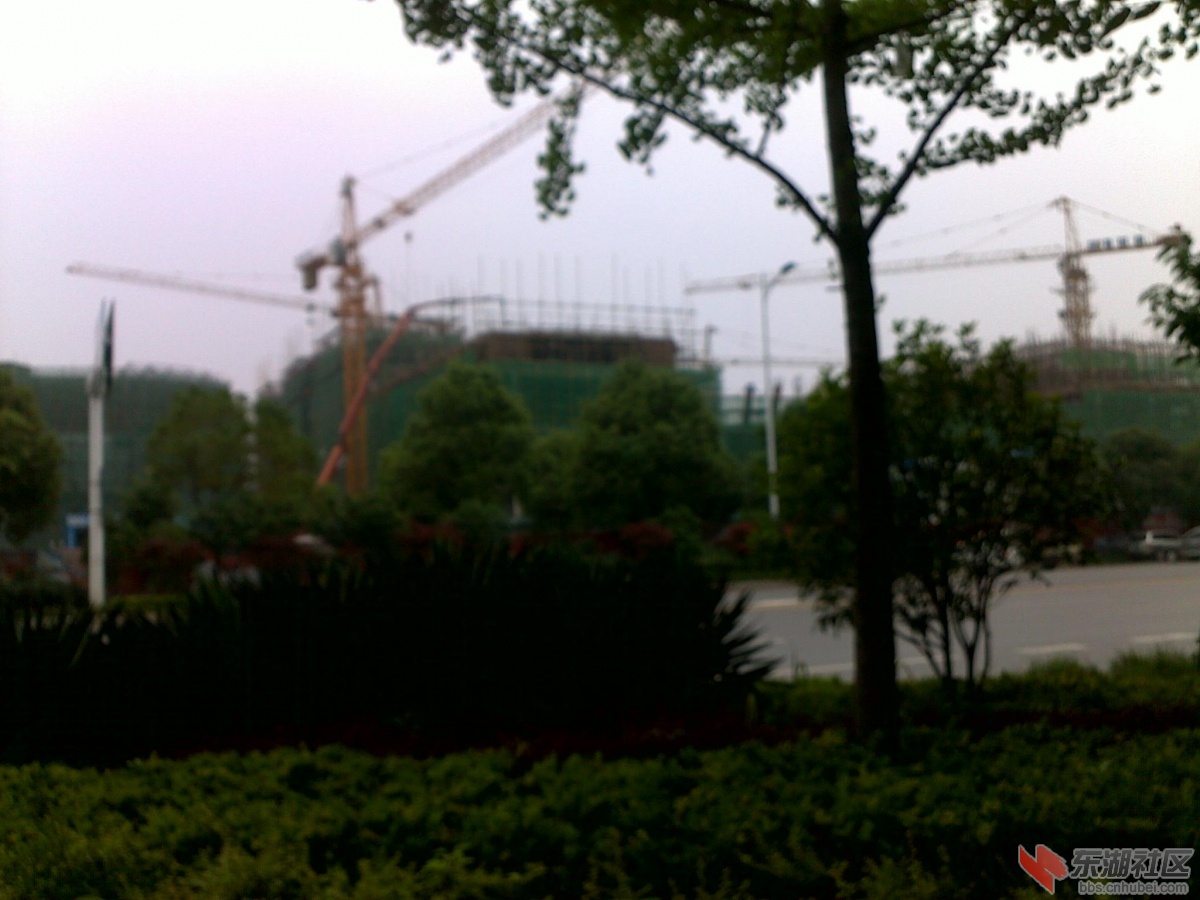 20120524150.jpg