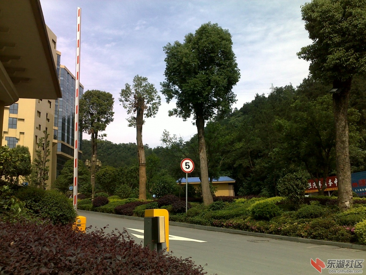201205291574.jpg