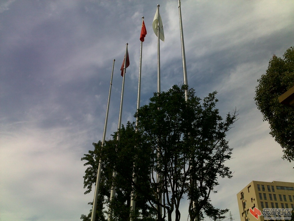 201205291575.jpg