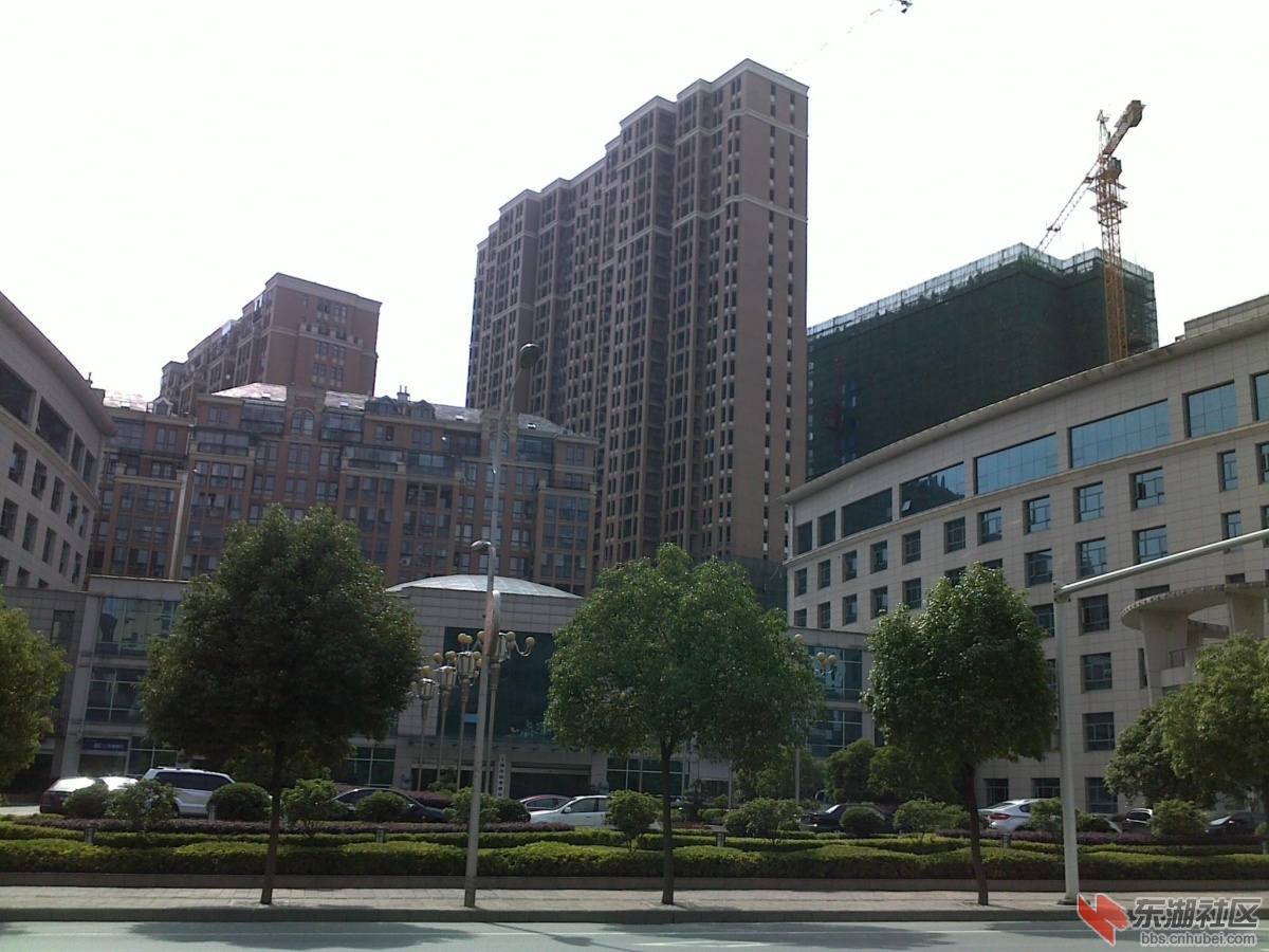 201205291582.jpg