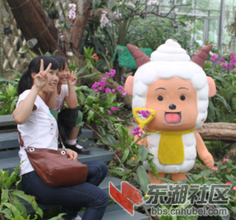 QQ截图20120601162030.png