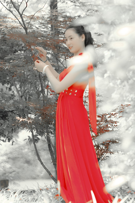 IMGP6857-7.jpg