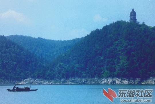 1_100516103239_1[1].jpg