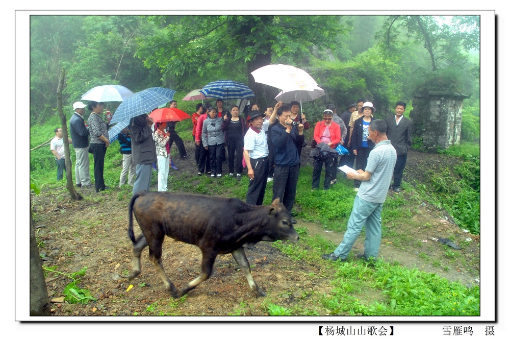 _杨城山山歌会（雪雁鸣   摄） (8).jpg