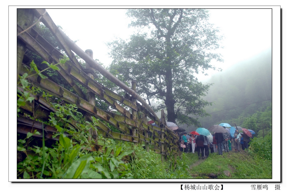 _杨城山山歌会（雪雁鸣   摄） (22).jpg