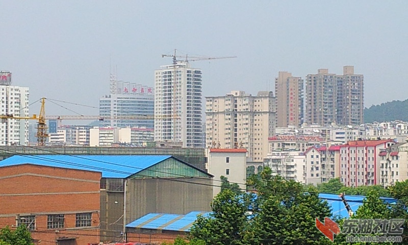 20120604_143141_副本.jpg